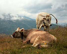 Corso di formazione 