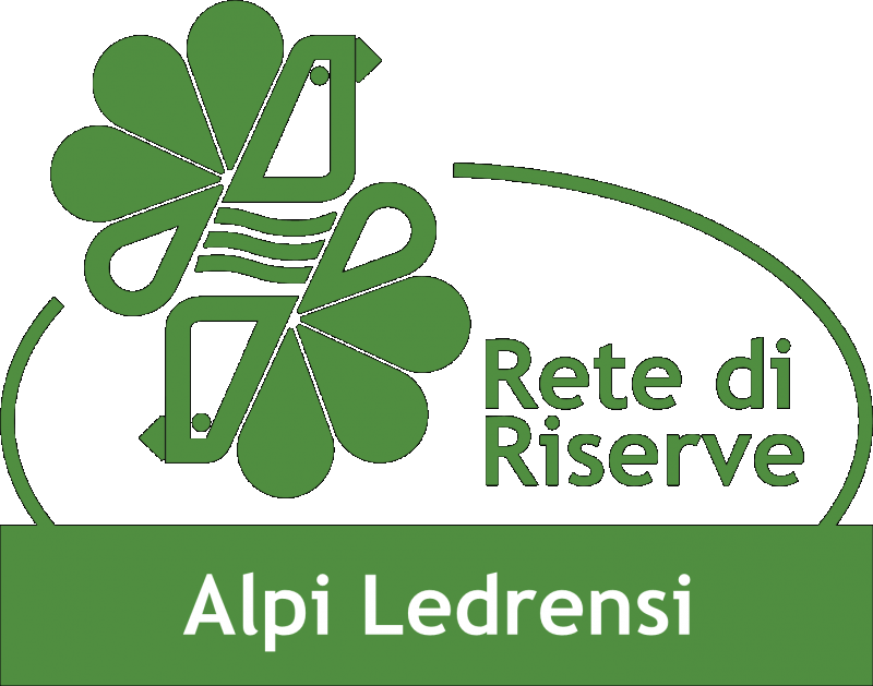 Identikit of local tourism