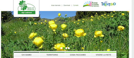 We are online!