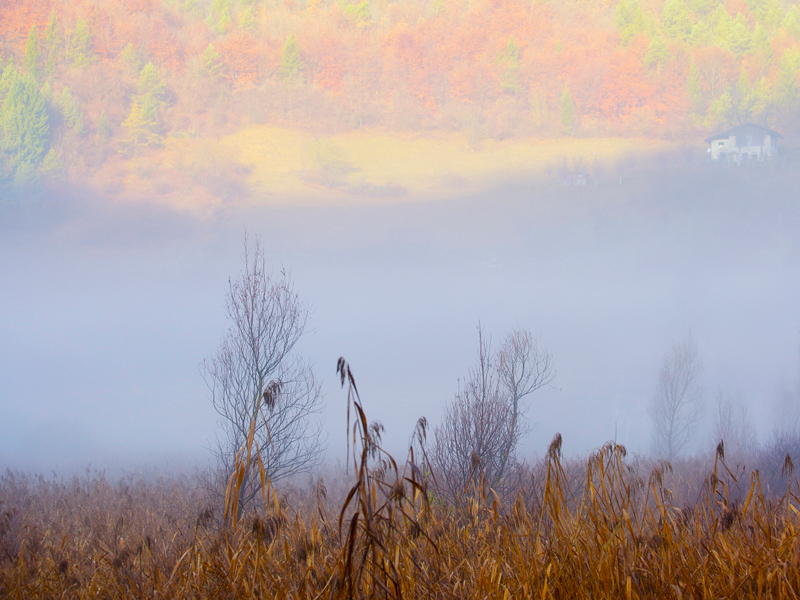 Ampola in autunno